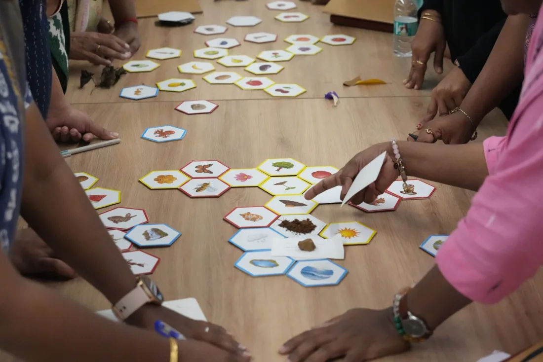 Educators' hands building an ecosystem out of hexagonal tiles on a table